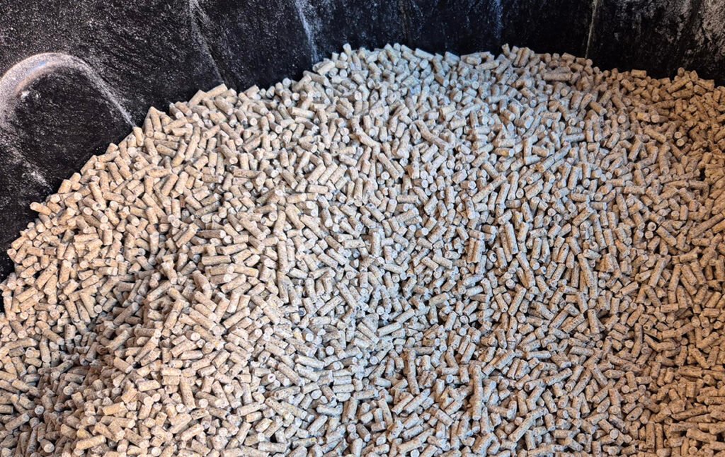 Zoom sur des granulés (pellets Gold 4) dans un conteneur pour réserve.